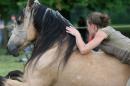 CAvAlle 11 * 3504 x 2336 * (3.77MB)